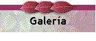 Galera